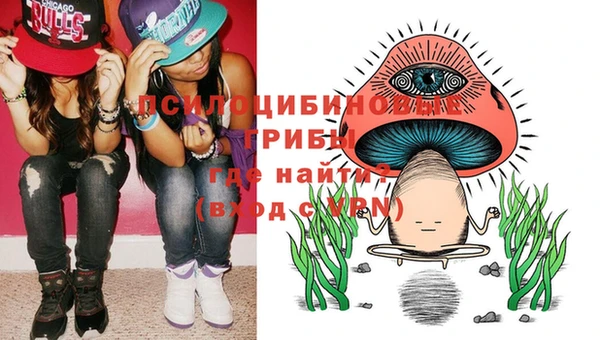 гашик Абинск