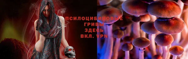 соль ск Абаза
