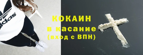 соль ск Абаза