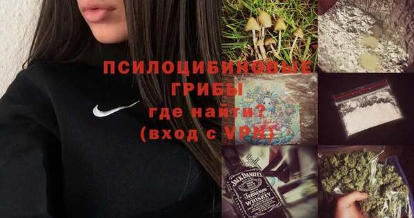 гашик Абинск
