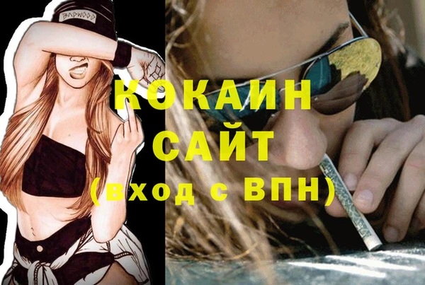 гашик Абинск