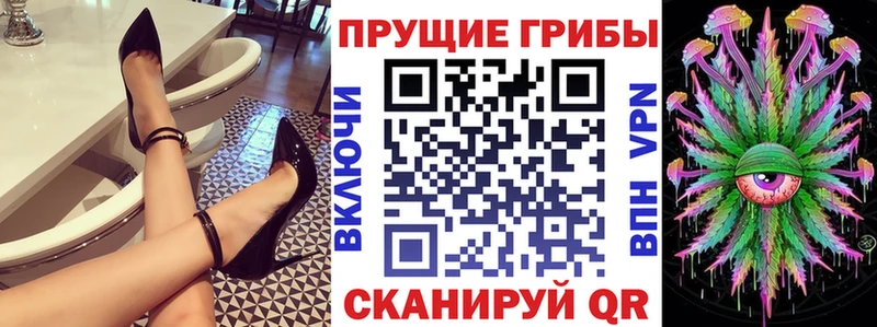 дарк нет клад Батайск Псилоцибиновые грибы мухоморы