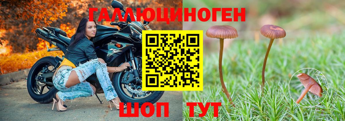 Батайск  Псилоцибиновые грибы прущие грибы  Вход с VPN 