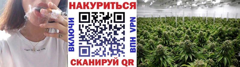 Шишки марихуана планчик  Батайск 